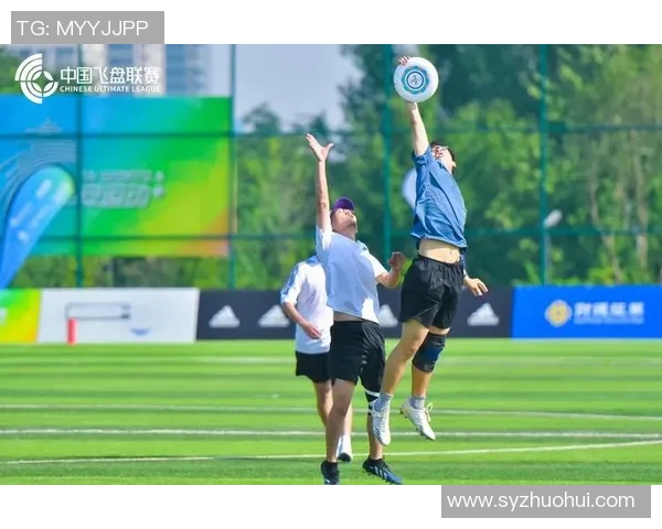 飞盘焦点：深入分析西安飞盘队的战术节奏与团队协作